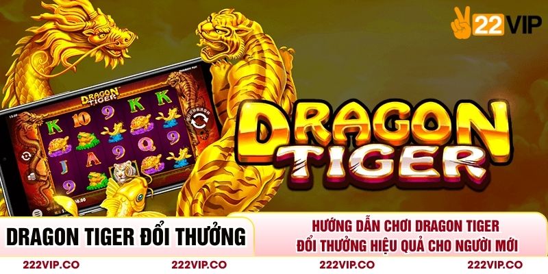 Hướng Dẫn Chơi Dragon Tiger Đổi Thưởng Hiệu Quả Cho Người Mới
